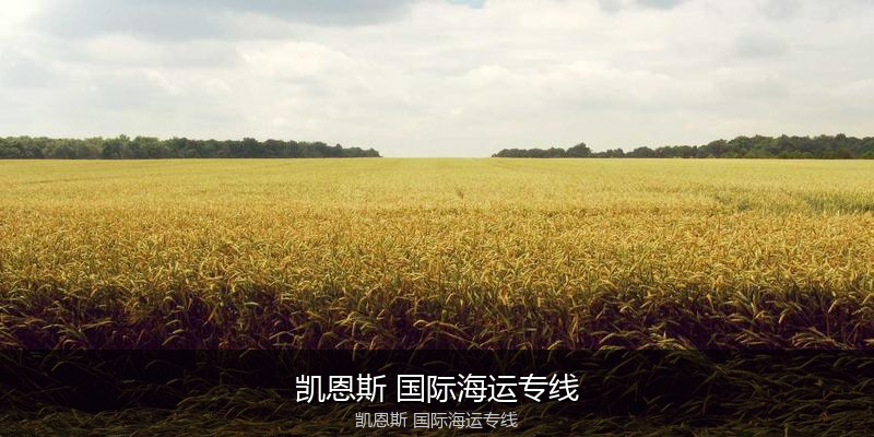 2024年中国到澳大利亚海运价格走势分析